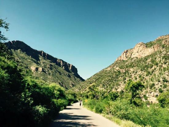 Sabino Canyon